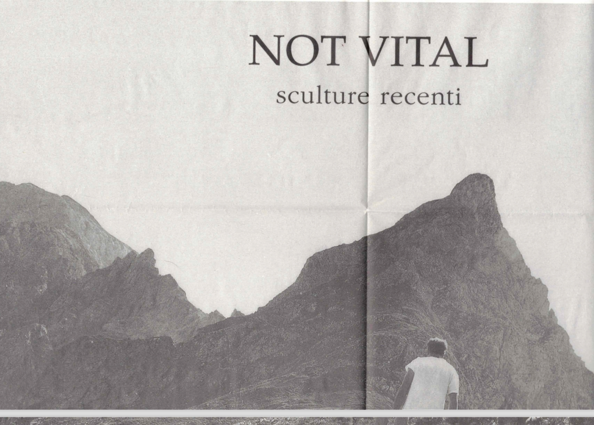 Not Vital, Cacche di mucca - 50 sculture per costruire un ospedale in Nepal, --