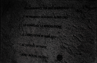 Gianluca Codeghini, Conservare fuori dalla portata, Particolare della scritta a muro.
Foto di Davide Bonasia