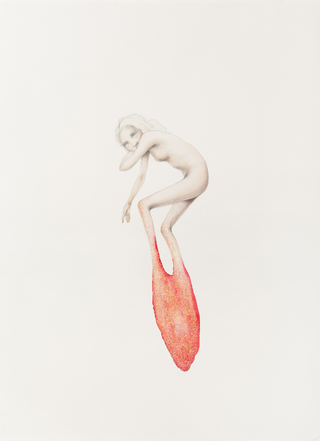 Margherita Manzelli, Il vascello fantasma, Untitled, 2014 
graphite and pastel on paper
77.2 × 56 cm 