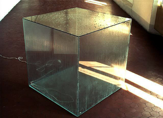 We are moving, Diego Perrone, Senza titolo, 1992, cm 100 x 100 x 100, vetro, resistenza elettrica, acqua, vapore.