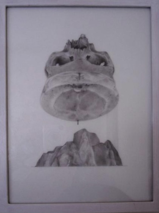 Collezione 2000 - 2010, Sergio Breviario
Senza titolo, 2005
matita su lucido
26 × 19 cm