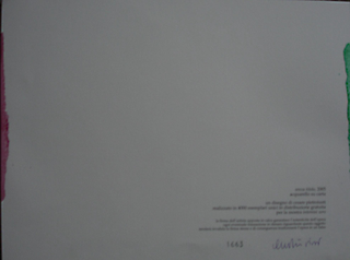 Collezione 2000 - 2010, Cesare Pietroiusti
Senza titolo, 2005
carta serigrafata e dipinta
edizione in 1.000 esemplari