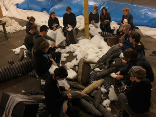 Claudia Losi, Les Funerailles de la Baleine, Biella, 2010