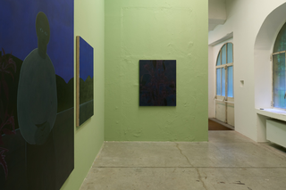 Andrea Loi, Sulla Luce
