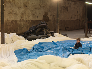 Claudia Losi, Les Funerailles de la Baleine, Biella, 2010