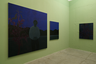 Andrea Loi, Sulla Luce