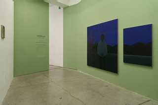 Andrea Loi, Sulla Luce