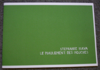 Collezione 2000 - 2010, Stephanie Nava
Le piaulement des Mouches, 2001
libro d’artista ed. 21/110
37 x 26 x 0,5 cm