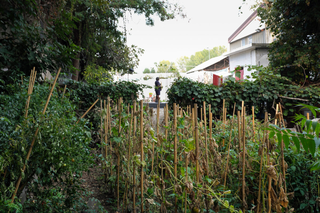 Intercultura - Capitolo 22 Il Giardino delle Meraviglie