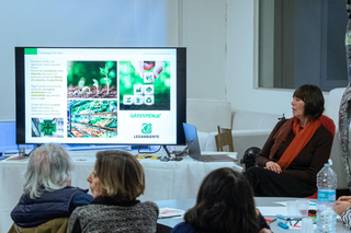 Laura Rota, Il linguaggio dei colori