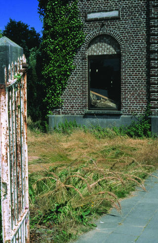 Maja Bajevic, Avanti Popolo, Maja Bajevic, Tresses, 2001, in situ installation / photo series, 100 x 70 cm.
Exhibition view: Watou Poeziezomer 2001, Watou, Belgium, organized by S.M.A.K. (Curator Ann Demeester), 2001.

Photo documentation: Maja Bajevic