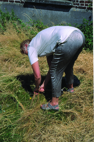 Maja Bajevic, Avanti Popolo, Maja Bajevic, Tresses, 2001, in situ installation / photo series, 100 x 70 cm.
Exhibition view: Watou Poeziezomer 2001, Watou, Belgium, organized by S.M.A.K. (Curator Ann Demeester), 2001.

Photo documentation: Maja Bajevic