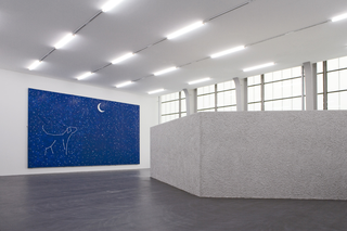 Valentin Carron, Luisant de sueur et de briantine, Installation view Valentin Carron, Kunsthalle Zurich, 2017.
Foto di Stefan Altenburger.