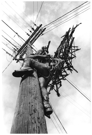 Kim Jones, Telephone Pole, 1978