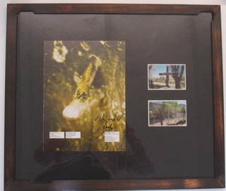 Collezione 2000 - 2010, Nico Vascellari
Cuckoo (Tema celeste), 2006