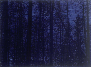 Collezione 2000 - 2010, Alex Cecchetti
Senza titolo (Bosco di abeti in piena notte), 2002
acrilico su tela
104 × 142 cm