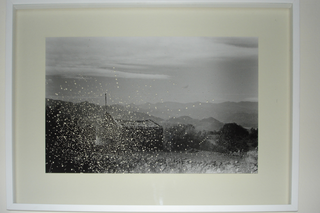 Collezione 2000 - 2010, Maggie Cardelus
Senza titolo, 2005
fotografia ritagliata
60 × 40 cm