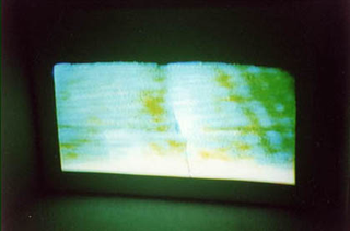 Video Invitational - Video in tutti i sensi: Tobias Collier, Tobias Collier
Toast/Tranquility, 2001
still