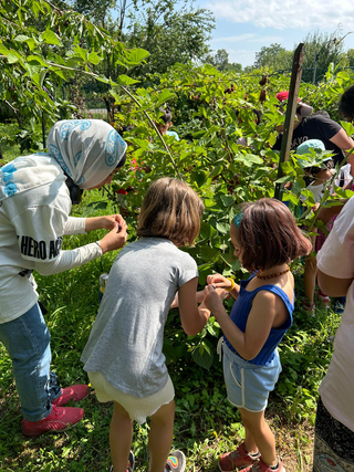 Campus Itinerari Corvetto summer 2023, Visit at Cascina Nocetum