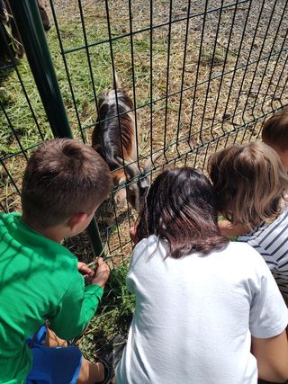 Campus Itinerari Corvetto summer 2023, Visit at Cascina Nocetum