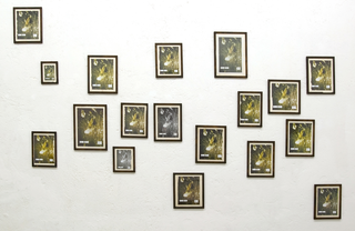 Collezione 2000 - 2010, Nico Vascellari Cuckoo (prelude), 2007
N. 18 riviste di diverso formato 1/3 + 1 pda