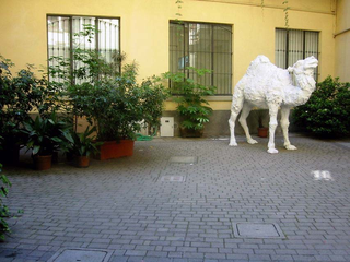 Tracce di un seminario. Mostra degli allievi del corso superiore di Arte Visiva della Fondazione Antonio Ratti, edizioni 1997, 1999, 2000, 2001, 2002, 2003, 2005, 2006, 2007, 2010