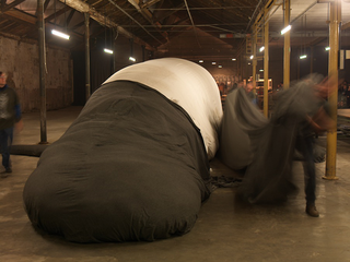 Claudia Losi, Les Funerailles de la Baleine, Biella, 2010