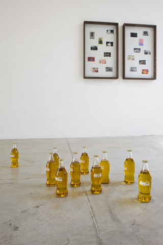 Loredana Di Lillo, Animal, Cocacola Vision, 2011
10 bottiglie in vetro soffiato, olio d'oliva, smalto
23 x 6,5 cm cad.