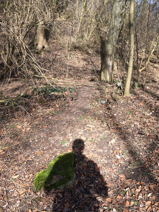 Leone Contini, Il Corno mancante, Passeggiata alla collina Birkenkopf, Stoccarda.