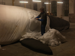 Claudia Losi, Les Funerailles de la Baleine, Biella, 2010