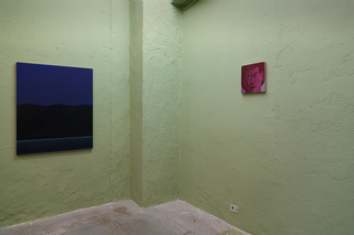 Andrea Loi, Sulla Luce