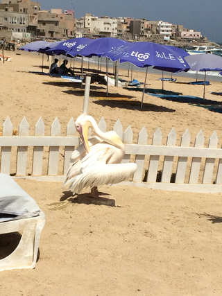 Intercultura - Capitolo 12 Ricordi di viaggio, Spiaggia di Dakar