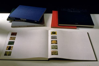 Stefano Arienti, Senza titolo, 1991
(Untitled)
6 books with erased text
dimensioni variabili
Studio Guenzani, Milano
Foto: Roberto Marossi