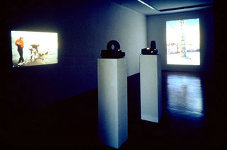 Stefano Arienti, Senza titolo - Bestie morte, 1993
dimensioni variabili
Studio Guenzani, Milano