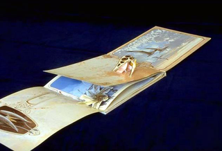 Stefano Arienti, The flight of the pterosaurus, 1993
Pop-up book with erased text
dimensioni variabili (20 cm di altezza)