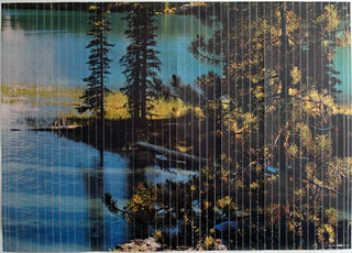 Stefano Arienti, Canada, 2010
48 X 137 cm ciascuna delle 4 parti
Courtesy: Galleria Massimo Minini, Brescia