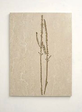 Stefano Arienti, Erba #3, 2010
Marble and golden ink
100 x 72 x 2 cm
Courtesy: Galleria Massimo Minini, Brescia