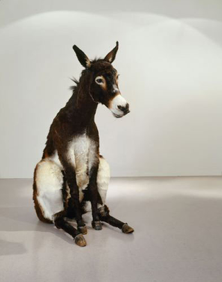 Maurizio Cattelan, Senza titolo (Un asino tra i dottori), 2004
Taxidermy
160 x 80 x 175 cm
Courtesy: Marian Goodman Gallery, New York 