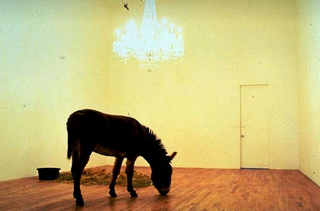 Maurizio Cattelan, Warning! Enter at your risk. Do not touch, do not feed, no smoking, no photographs, no dogs Thank you, 1994
Donkey and chandelier
dimensioni reali
Daniel Newburg Gallery, New York
Foto di Lina Bertucci