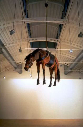 Maurizio Cattelan, La ballata di Trotskij, 1996
(Trotski's ballad)
Stuffed horse
dimensioni reali
Galleria Massimo De Carlo, Milano