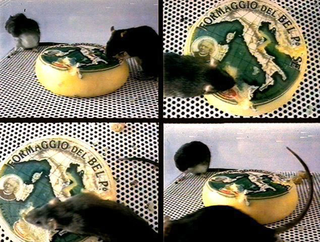 Maurizio Cattelan, I found my love in Portofino, 1994
Cheese, rats, plexiglass
60 x 160 x 150 cm
- L'Hiver de l'Amour / The Winter of Love , P.S.1 Museum, New York