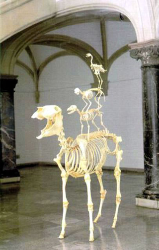 Maurizio Cattelan, Love lasts forever - L’amore dura per sempre, 1997
Skeletons of donkey, dog, cat, rooster
210 x 120 x 60 cm
- Skulptur. Projekte , Münster
Foto di Roman Mensing