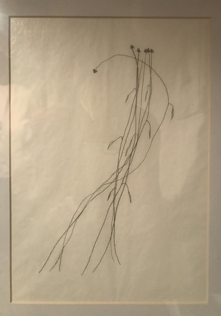 Collezione 2000 - 2010, Giovanni De Lazzari
Fragili fiori, 2006
monotipo, inchiostro da incisione su carta di riso
21 x 29 cm