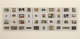 Liliana Moro, All that fall, 2009
(40 framed photographs)
18 x 12,5 cm
Galleria Emy Fontana, Milano
Foto: Roberto Marossi
Courtesy: Galleria Emy Fontana, Milano 