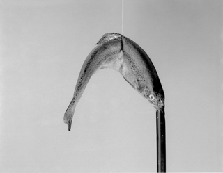 Il raccolto d'autunno è stato abbondante, Giovanni Oberti
Senza titolo (pesce), 2009
Polaroid in bianco e nero
13 x 10,5 cm
Fotografia di Floriana Giacinti