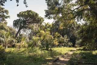 Studio Visit Italia per Manifesta12 Palermo, Orto Botanico di Palermo. Foto di Delfino Sisto Legnani, 2017. Courtesy OMA