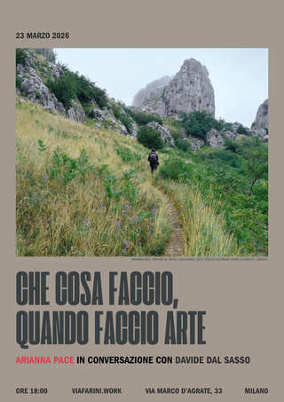 Che cosa faccio, quando faccio arte