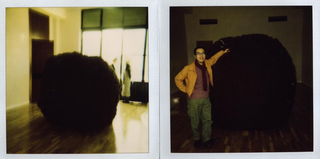 Rosemarie Trockel, Pausa, con la collaborazione di Shobha, La palla di lana in lavorazione, presso Clerprem spa