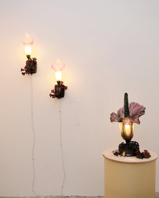 Rasa - The Indian Collective