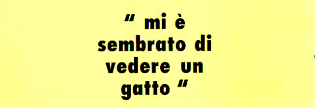 Alex Pinna, Mi è sembrato di vedere un gatto